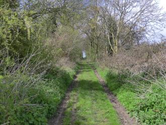 Country lane